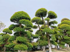 -武汉紫薇都市田园