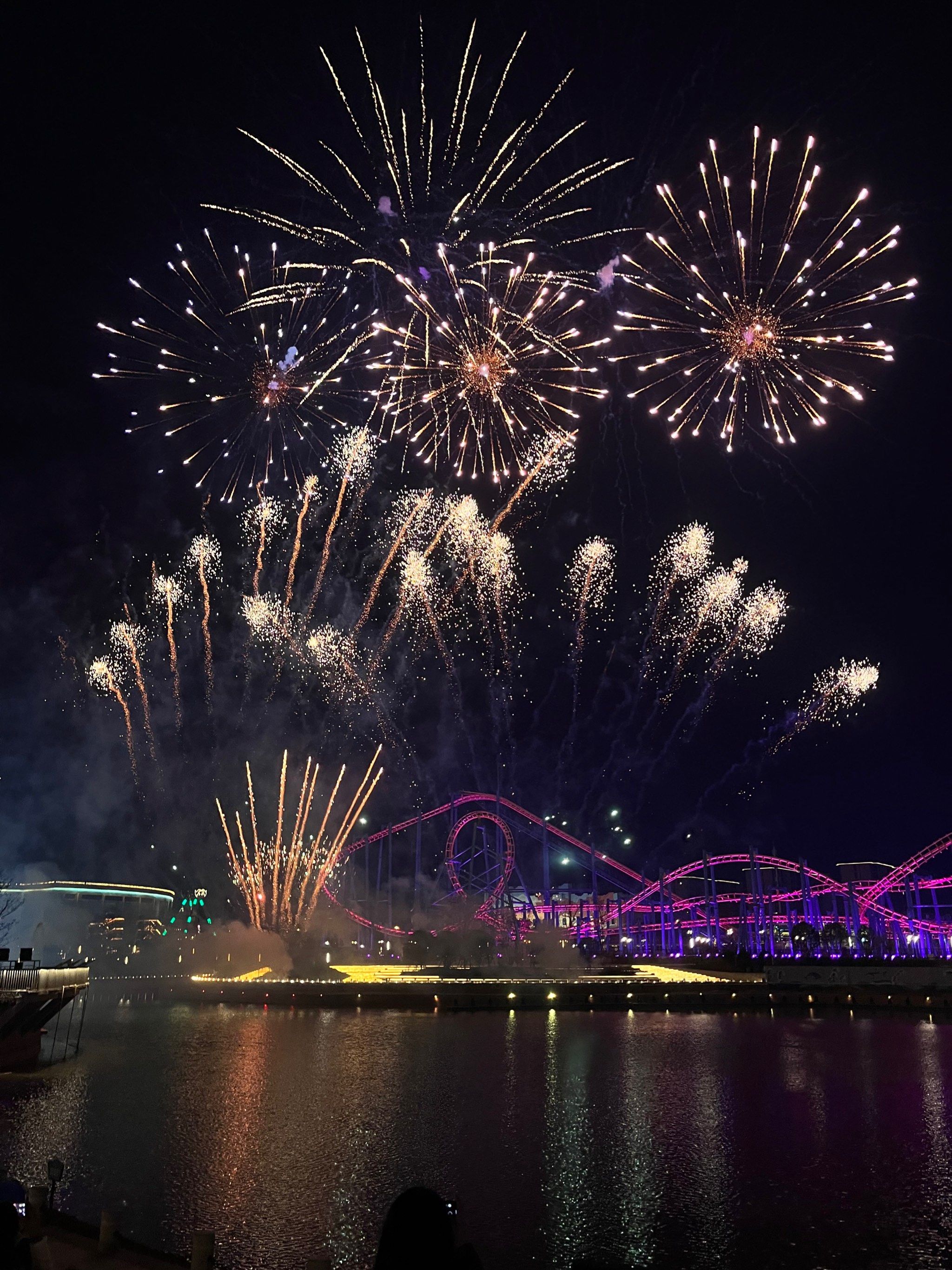 跨年前的最后一次烟花是湘江欢乐海洋给我的🎆