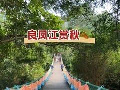 -南宁良凤江国家森林公园