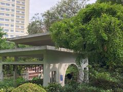 -兰溪青年公园