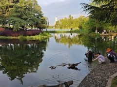 -金银湖国家城市湿地公园
