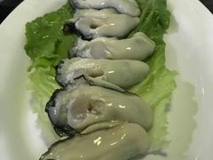 -蚝专家