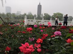 -西海子公园