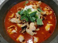 -虎虎龙虾大排档(双井店)