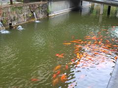 -浙江省博物馆(孤山馆区)