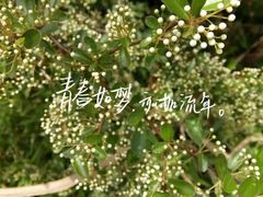 -舒家湾天主教堂