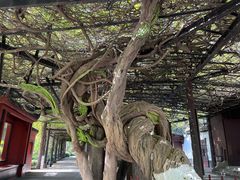 -老桂湖公园-杨升庵博物馆