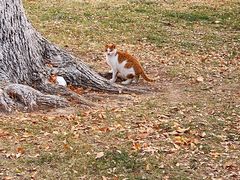 景点-天津水上公园
