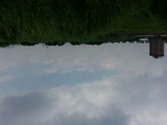 android_upload_pic-呈贡滇池生态湿地公园