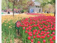 -廊坊文化艺术中心