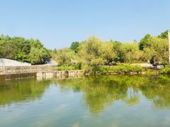 -鄱阳湖国家湿地公园