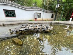 -红螺寺