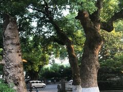 -杭州香格里拉饭店
