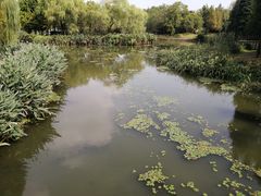 -尚贤河湿地