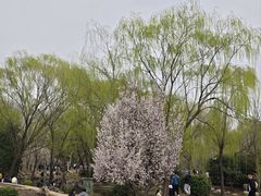 -郑州植物园