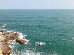 -广东惠东海龟国家级自然保护区
