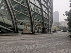 -凤凰中心