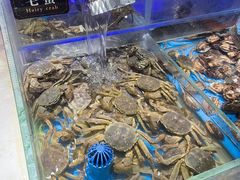 -加餐海鲜自助(宝龙一城店)
