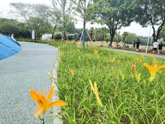 -新洲生态园