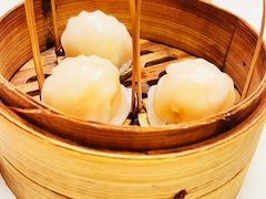 -金鼎轩(方庄天坛店)