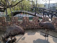 -J Create城市露营咖啡·简餐·宠物(上海动物园店)