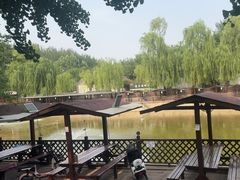 -尚庄度假村·庭台树下·户外烧烤·团建CS·轰趴营地(上庄水库店)