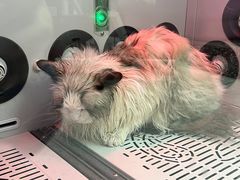 -FAELING PETS美天灵宠物(富力广场店)
