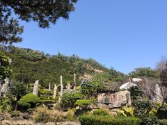 -深圳仙湖植物园
