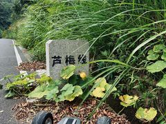 -白云源风景区
