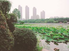 -后襄河公园
