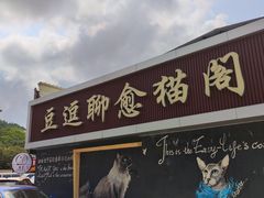 -豆逗聊愈猫阁Easy Life