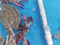 -海天市场(淮河路店)