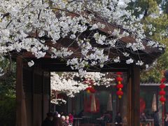 -惠山古镇·寄畅园