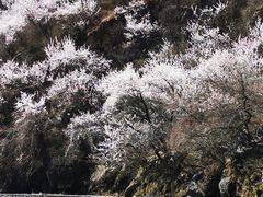 -妙峰山风景名胜区