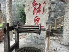 -老幺泉水鸡