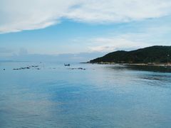 -后海村