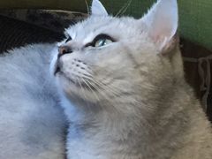 -不舍昼夜咖啡馆