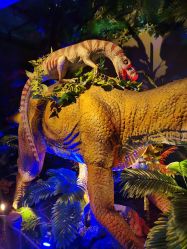 -恐龙探索乐园(磁器口店)