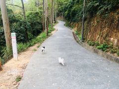 -大尖山公园
