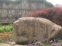 -嘉定紫藤园