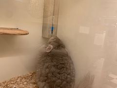 -龙猫仔乐园(惠福东路店)