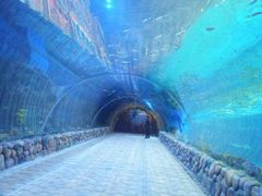 -华夏文旅西安度假区