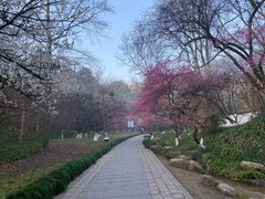 -杭州植物园