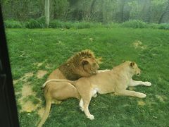 -北京野生动物园