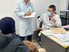 -中国农业大学动物医院