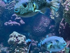 -海合安青岛极地海洋公园