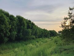 -潇河湿地公园