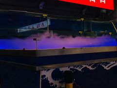 门面-马路牙子地桌烤肉(工体店)