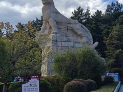 -帽儿山国家森林公园