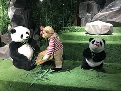 -成都泰迪熊博物馆